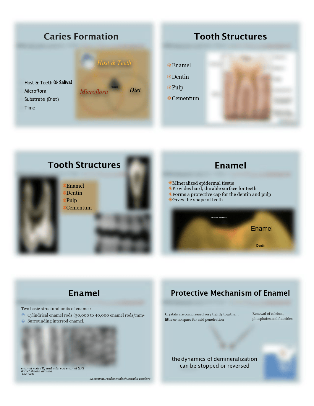 C1-Introduction to Cariology and Dental Caries-Kilinc-2020-Lecture Slides (3).pdf_dcu50bda1yz_page2