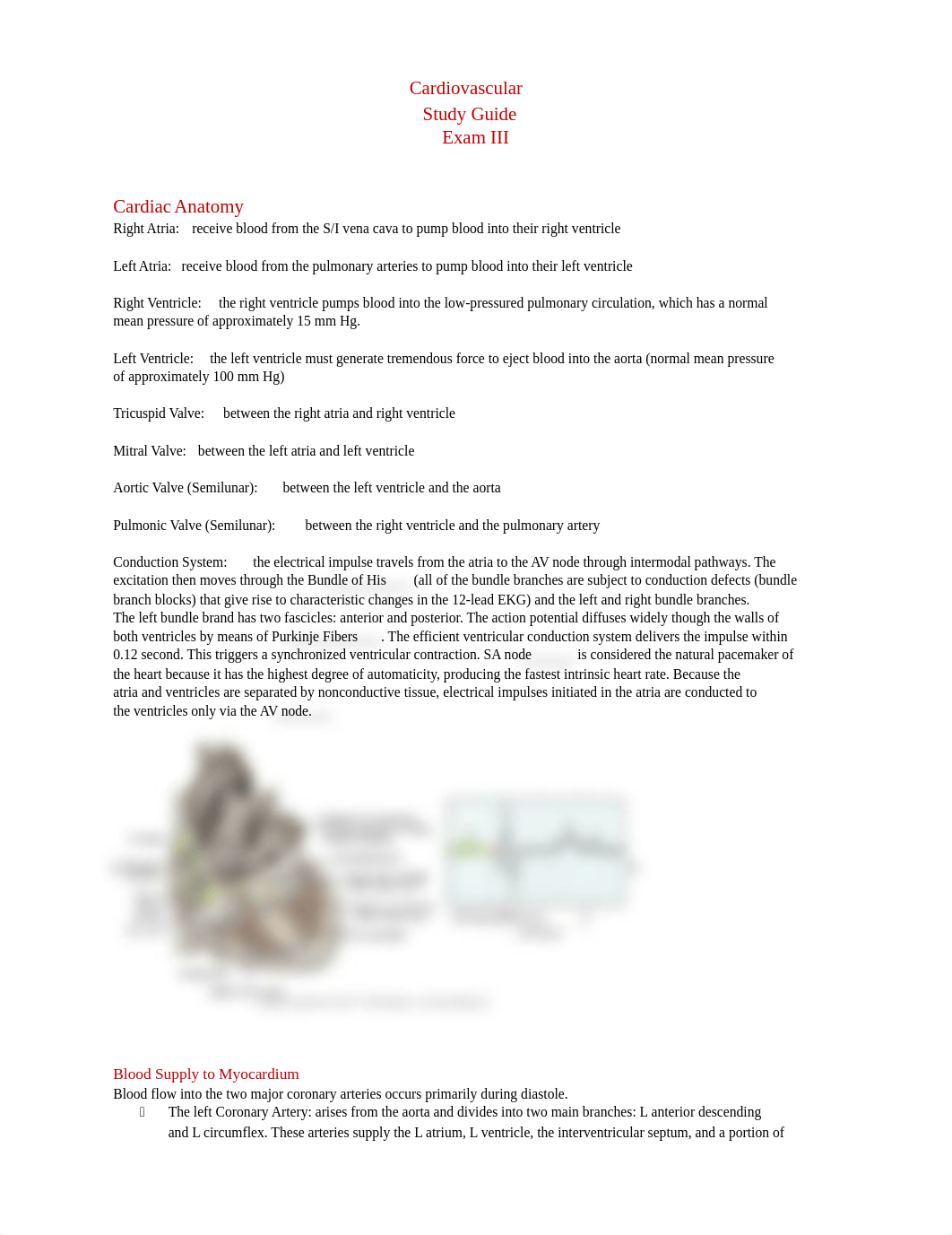 Exam 3 Cardiovascular Study Guide.docx_dcu6m3wh479_page1