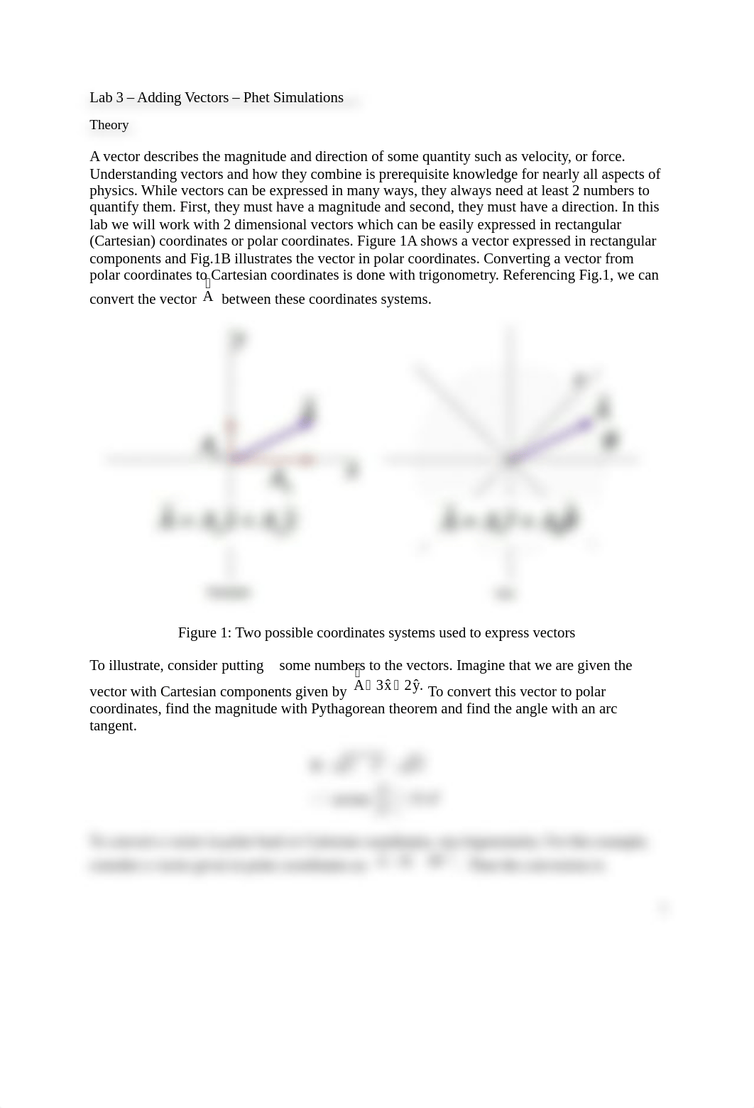 BM Lab 3 - Vector Sim.docx_dcu99o1hpzy_page1