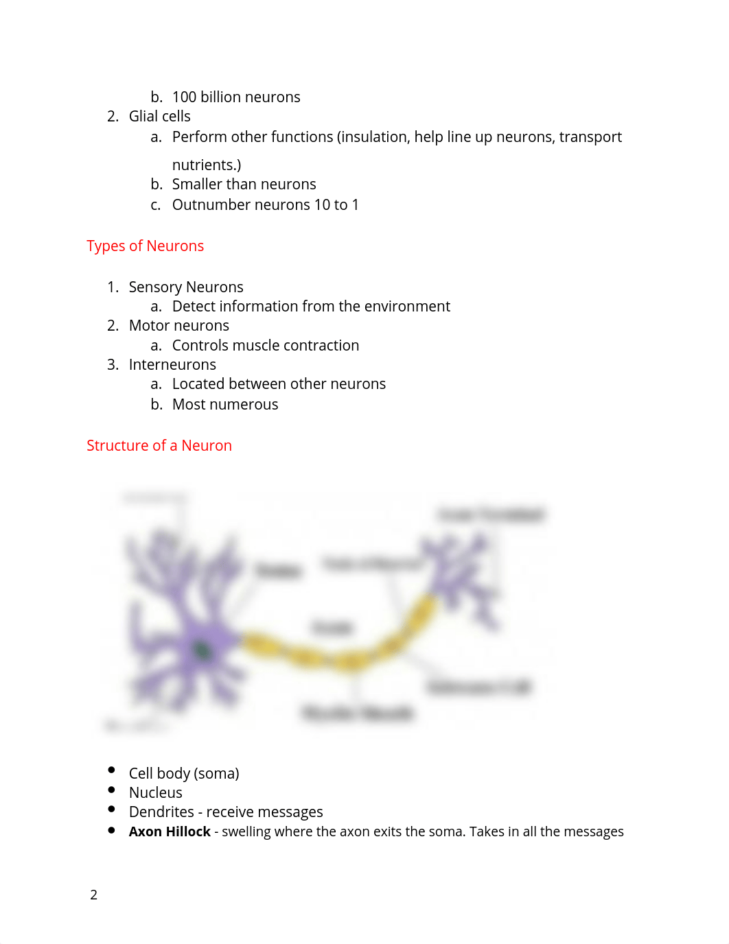 PSYCH ch 3 notes.docx_dcuo2d6lmrs_page2