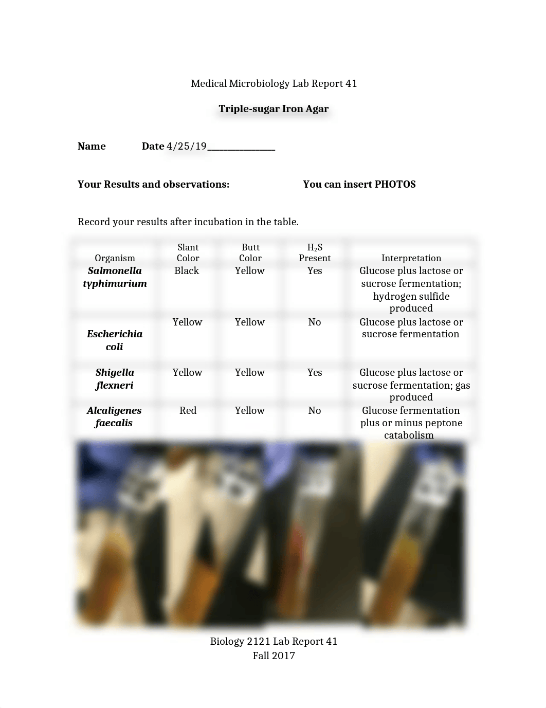 Lab Report 41 Final.docx_dcupbi15hxa_page1