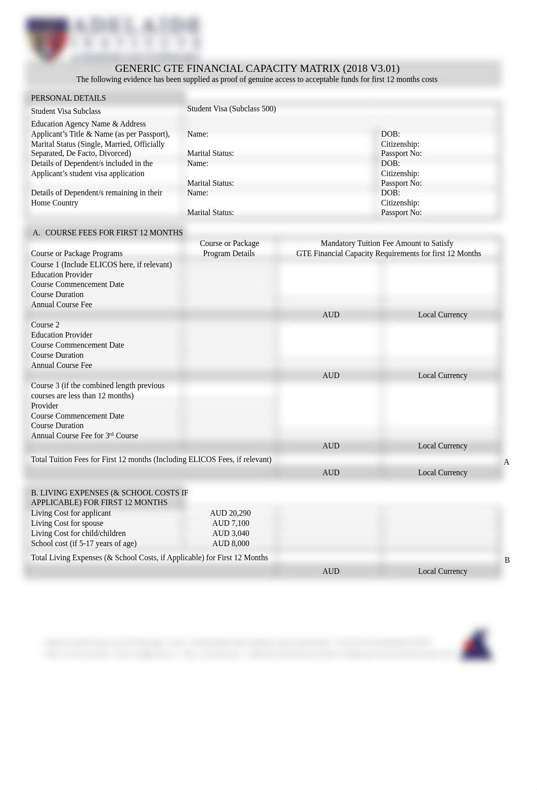 Generic-GTE-Financial-Capacity-Matrix.pdf_dcuug4jx9ow_page1