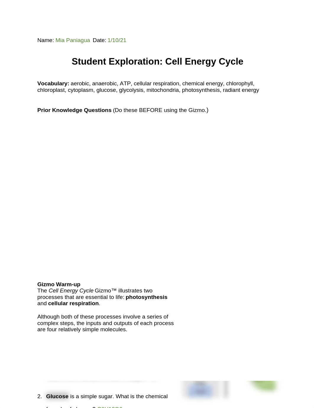 CellEnergySE.docx_dcuxul7q5yr_page1