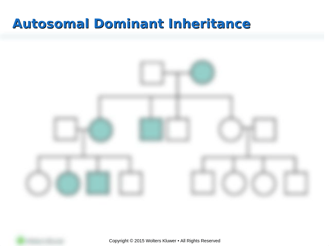 Chapter 5 - Genetic and Congenital.ppt_dcuxzqcsyrp_page4