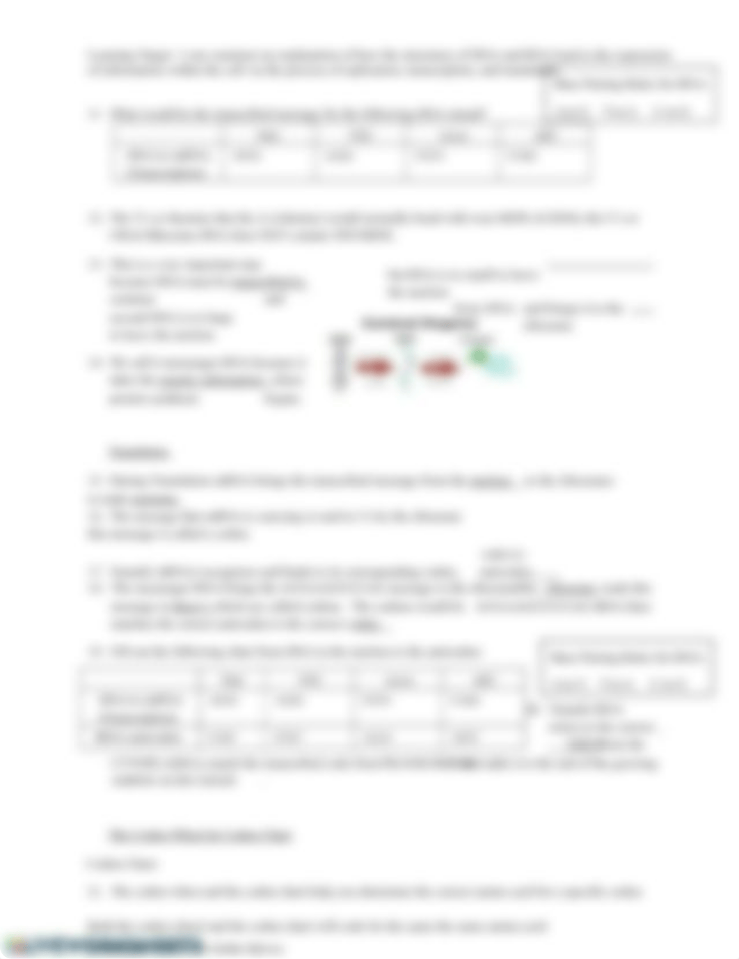 Central Dogma of Protein Synthesis Video Worksheet.docx_dcuyj4fnyrq_page2