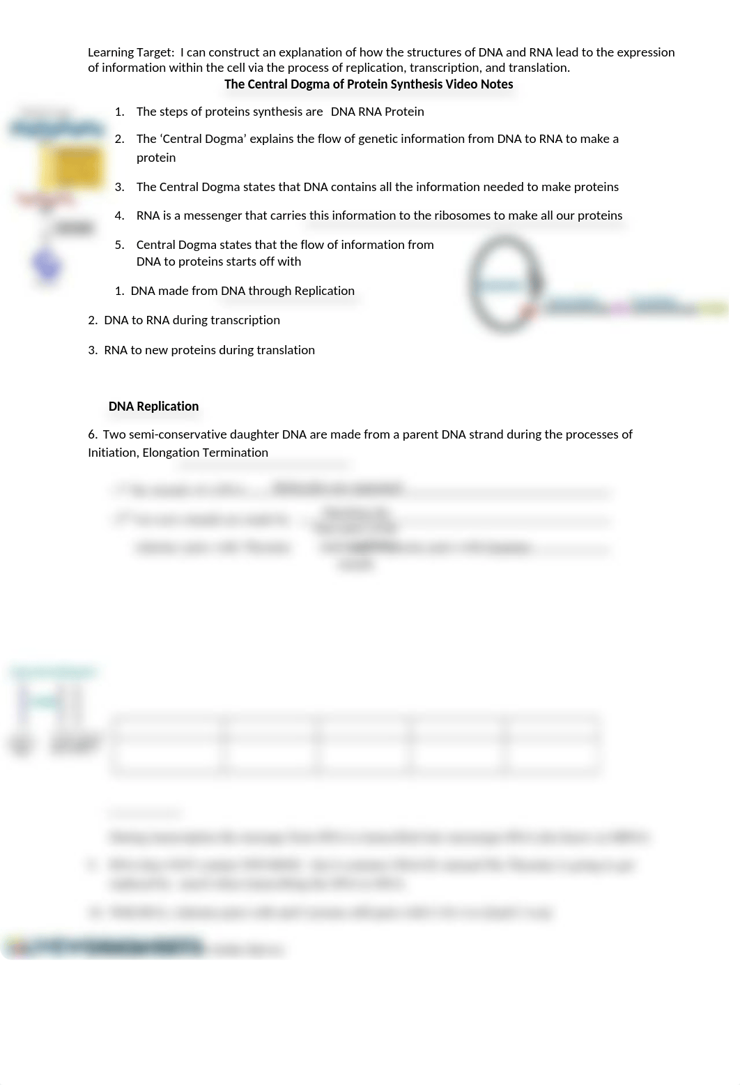 Central Dogma of Protein Synthesis Video Worksheet.docx_dcuyj4fnyrq_page1