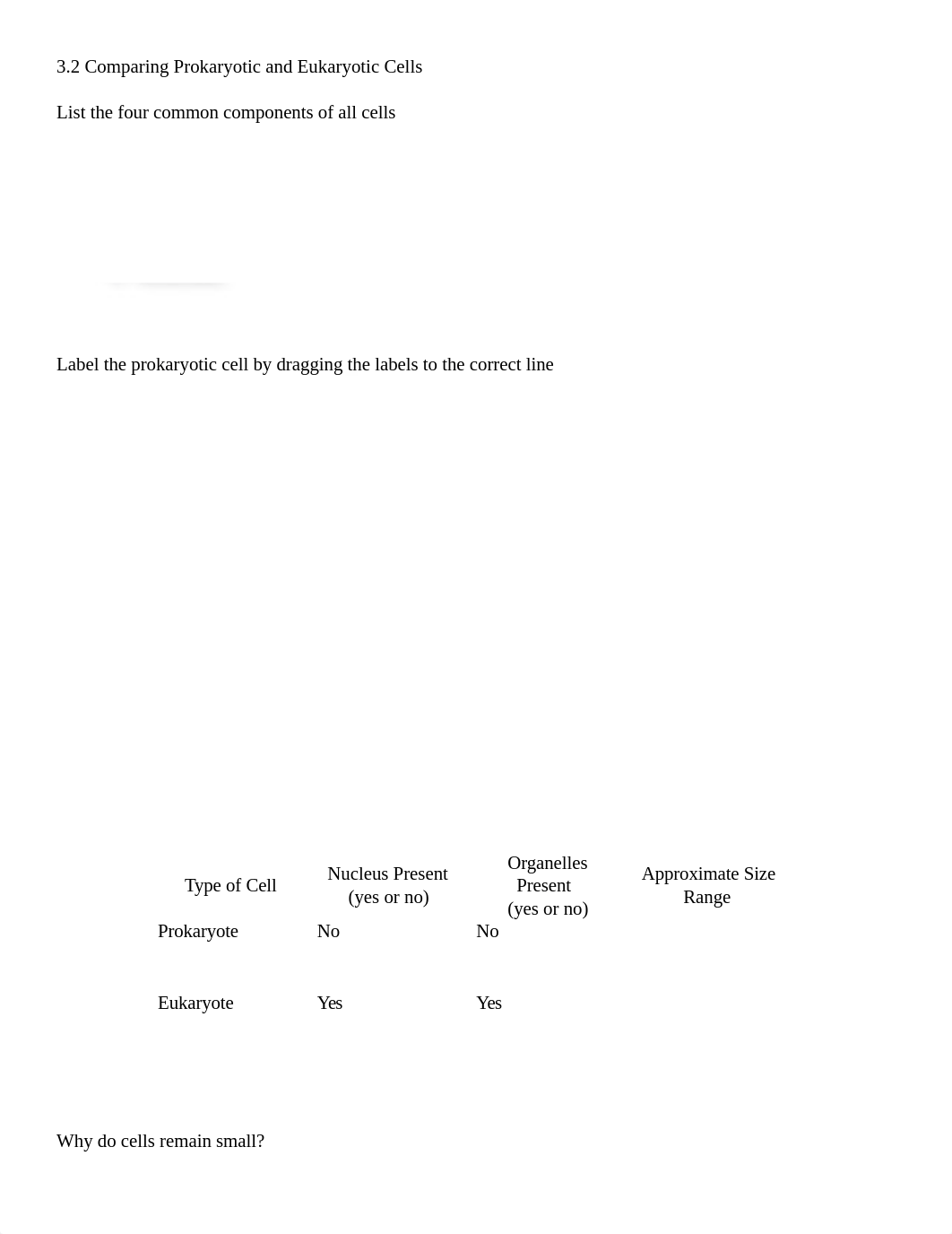 Chapter 3A Worksheet OpenStax.docx_dcve5h3g4wt_page2