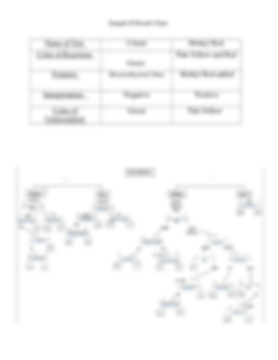 Unknown Bacteria Lab Report- Piper Phillips.docx_dcvzcrkrtae_page3