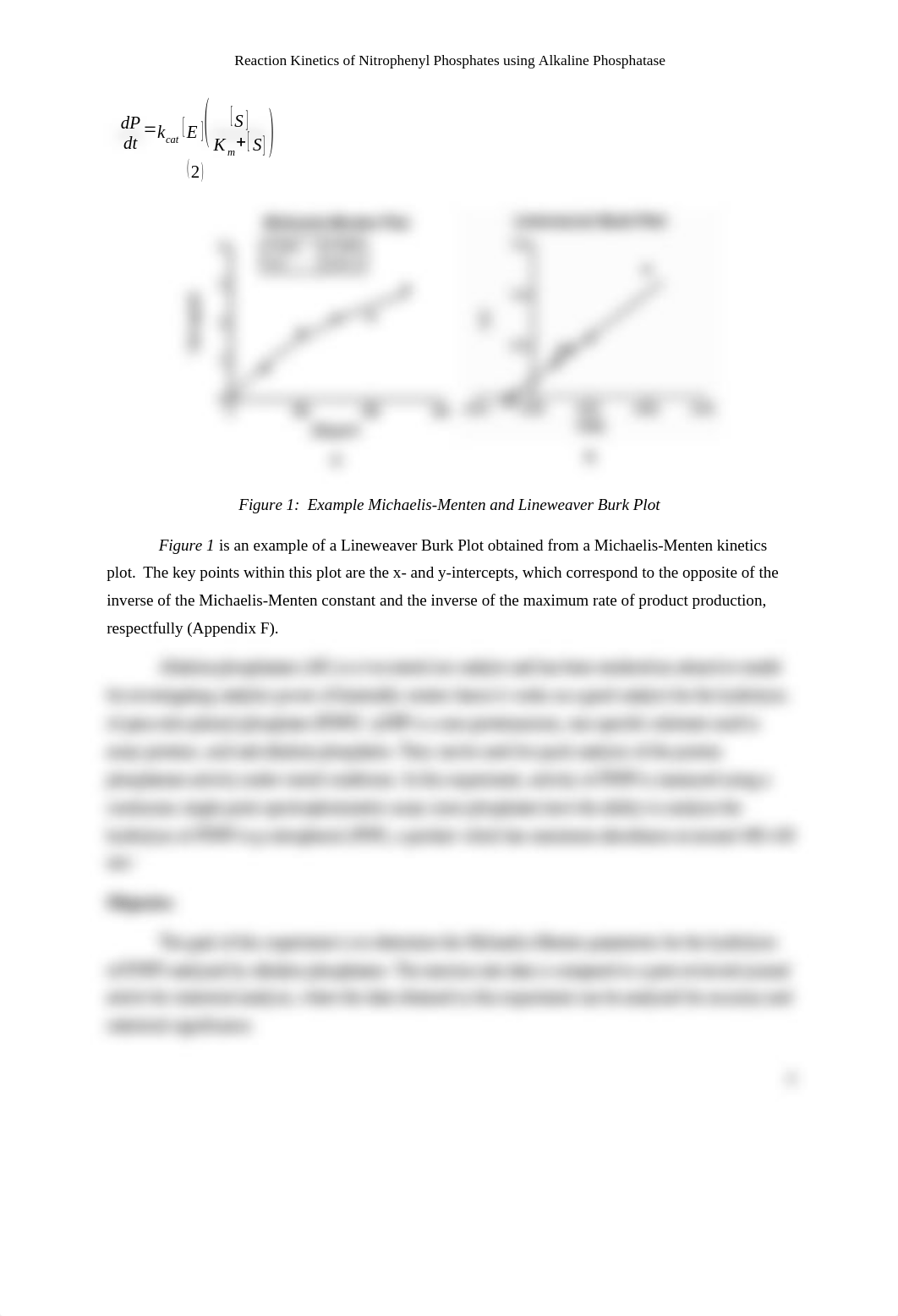 Technical Report R8 - Enzyme Kinetics (Rough Draft).docx_dcw4hilwgcf_page3