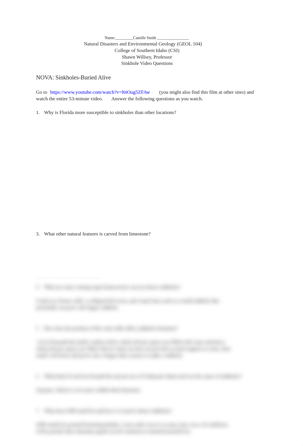 Sinkhole Video Questions.docx_dcwaeyekz1n_page1