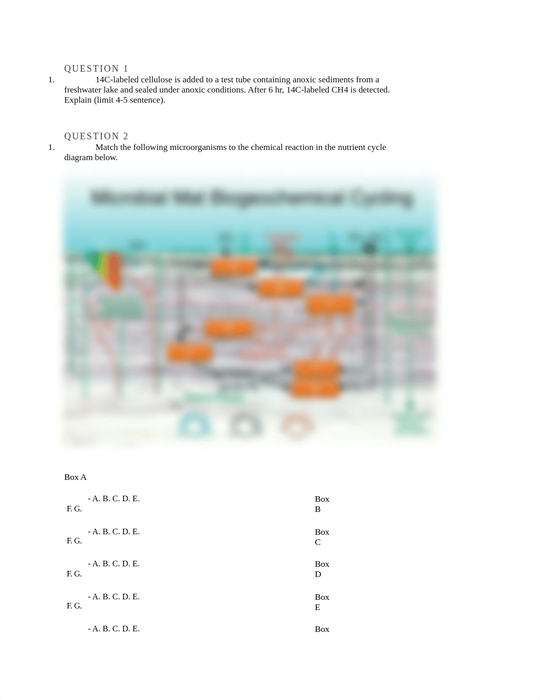 bacteriology.docx_dcwbe4nmxlu_page1