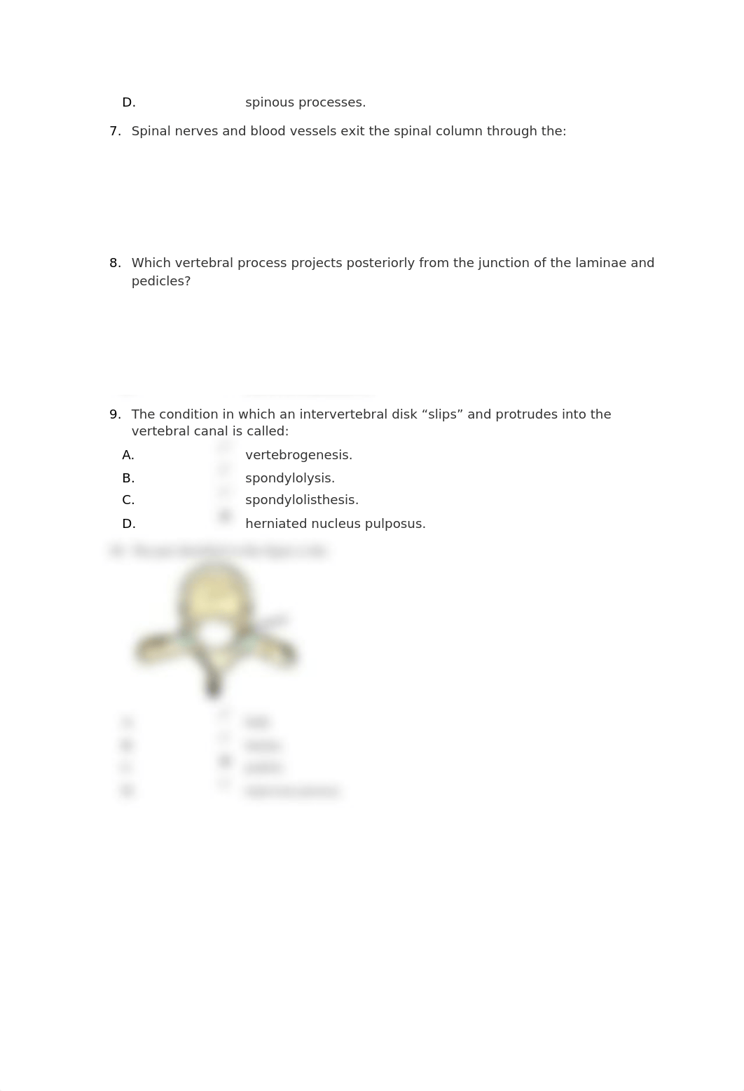 Lumbar Spine Quiz Student Copy (1).docx_dcwdyha9wjm_page2