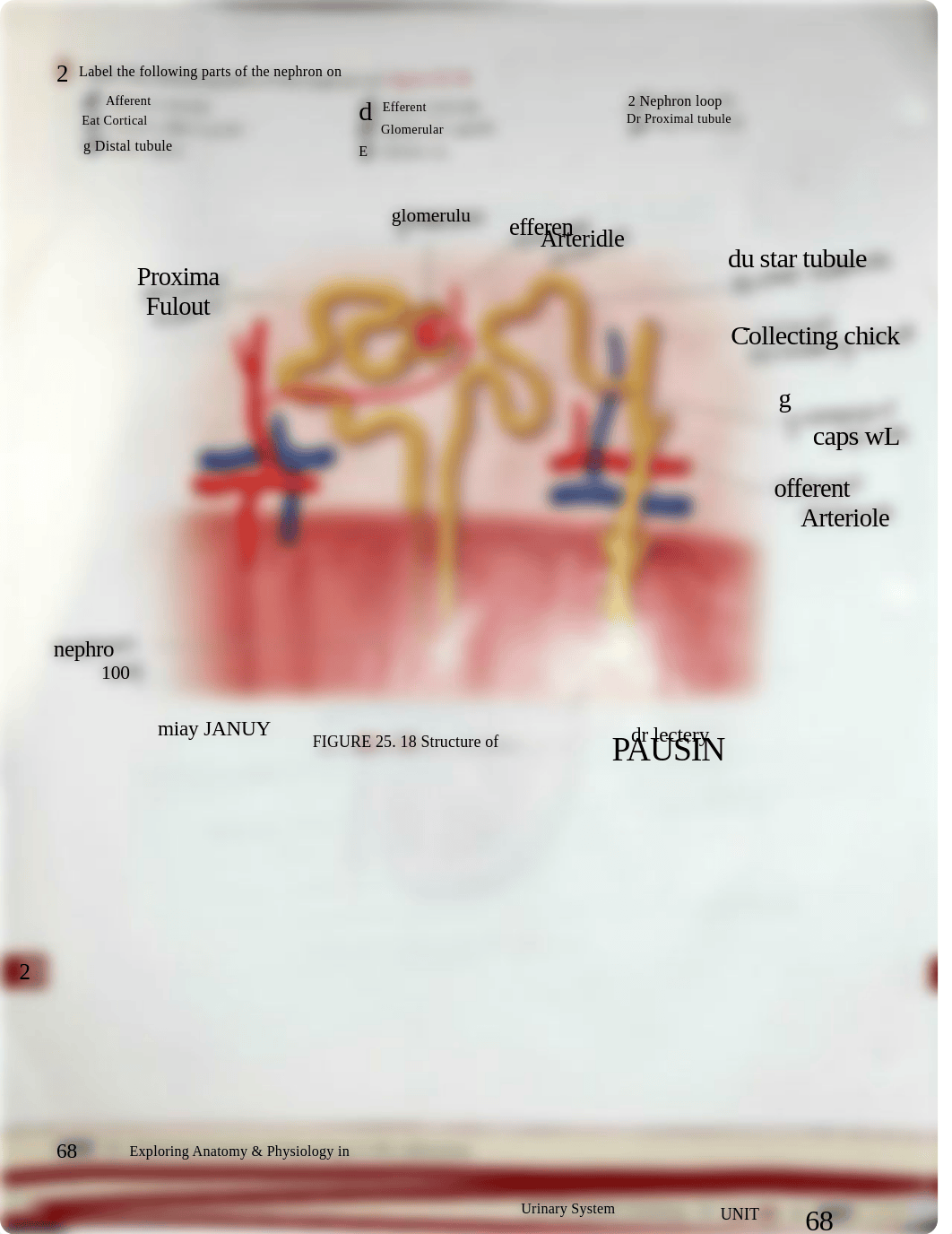 Unit 25- Sonya Dominguez.pdf_dcwehep7ppp_page2