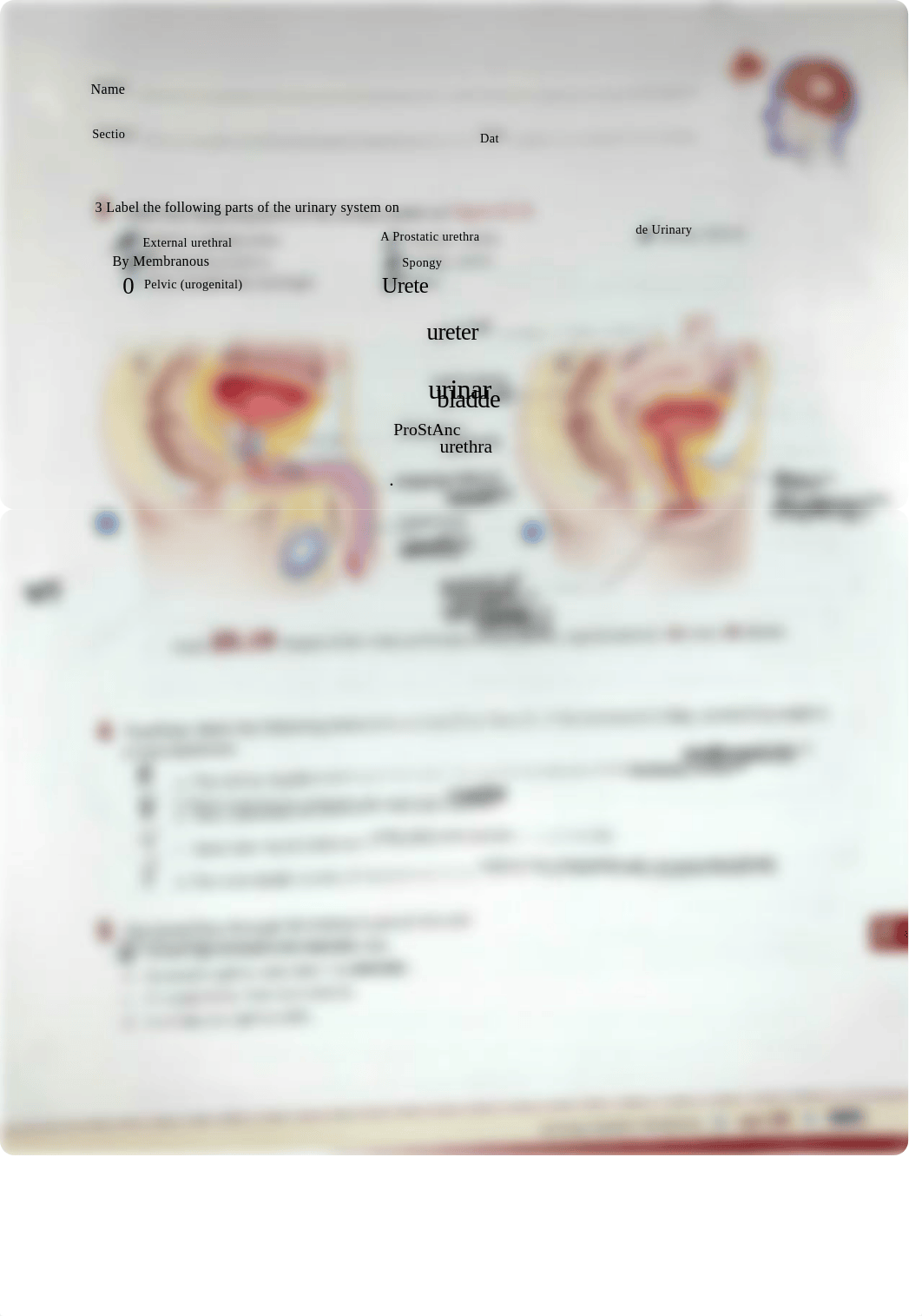 Unit 25- Sonya Dominguez.pdf_dcwehep7ppp_page3