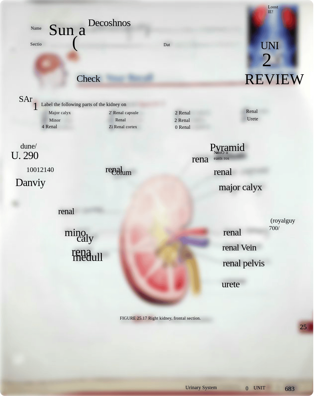 Unit 25- Sonya Dominguez.pdf_dcwehep7ppp_page1