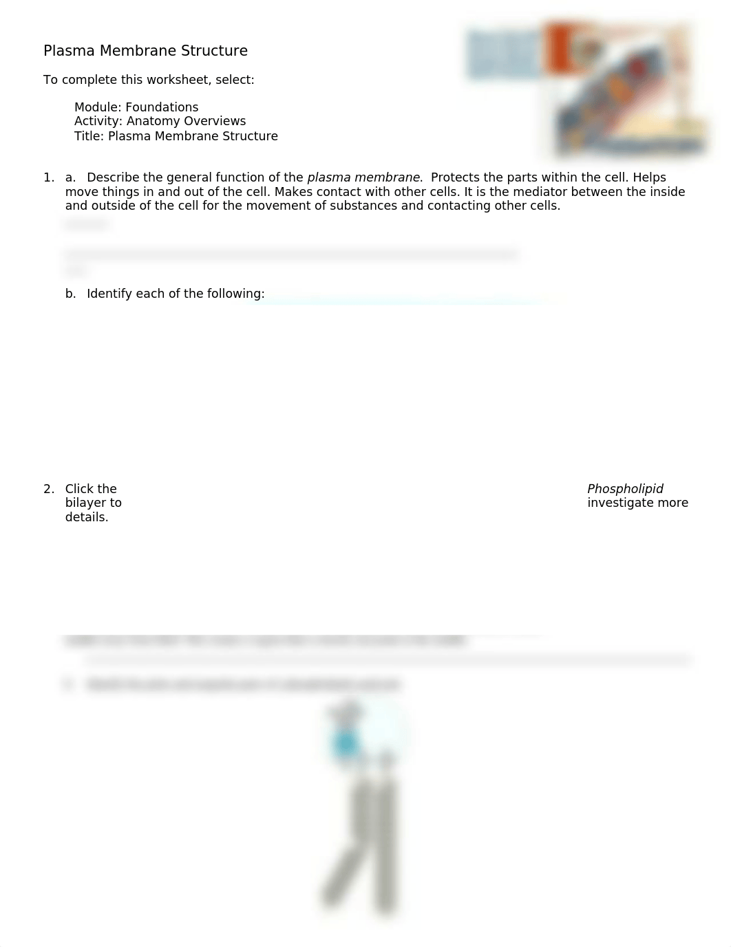 Ch. 3 Plasma Membrane Structure_dcweoahn62c_page1