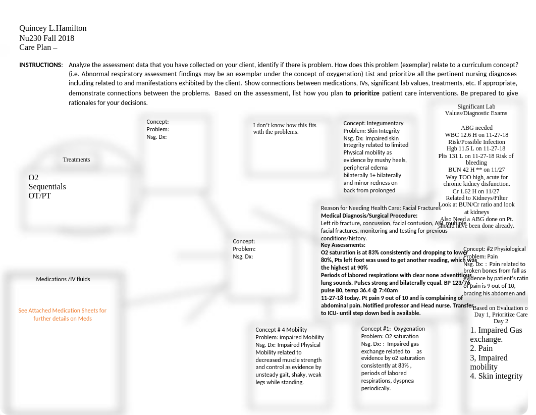 concept mapping - adapted for Nursing 230 (2)-1 (2).docx_dcwi4rdi9r7_page1