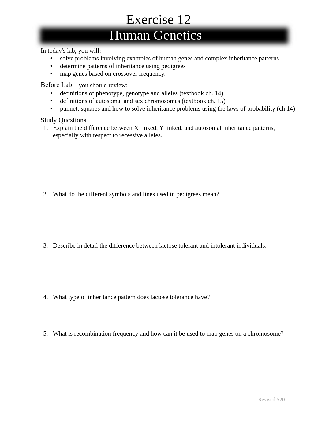 Exercise 12 Human Genetics with Problems.20.pdf_dcwmdwess19_page1