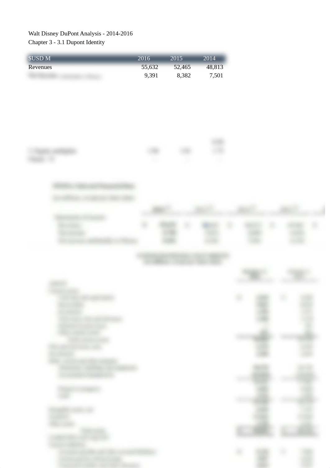 Chapter 3 Discussion - Dupont Identity for Disney.xlsx_dcwpwjlb14j_page1