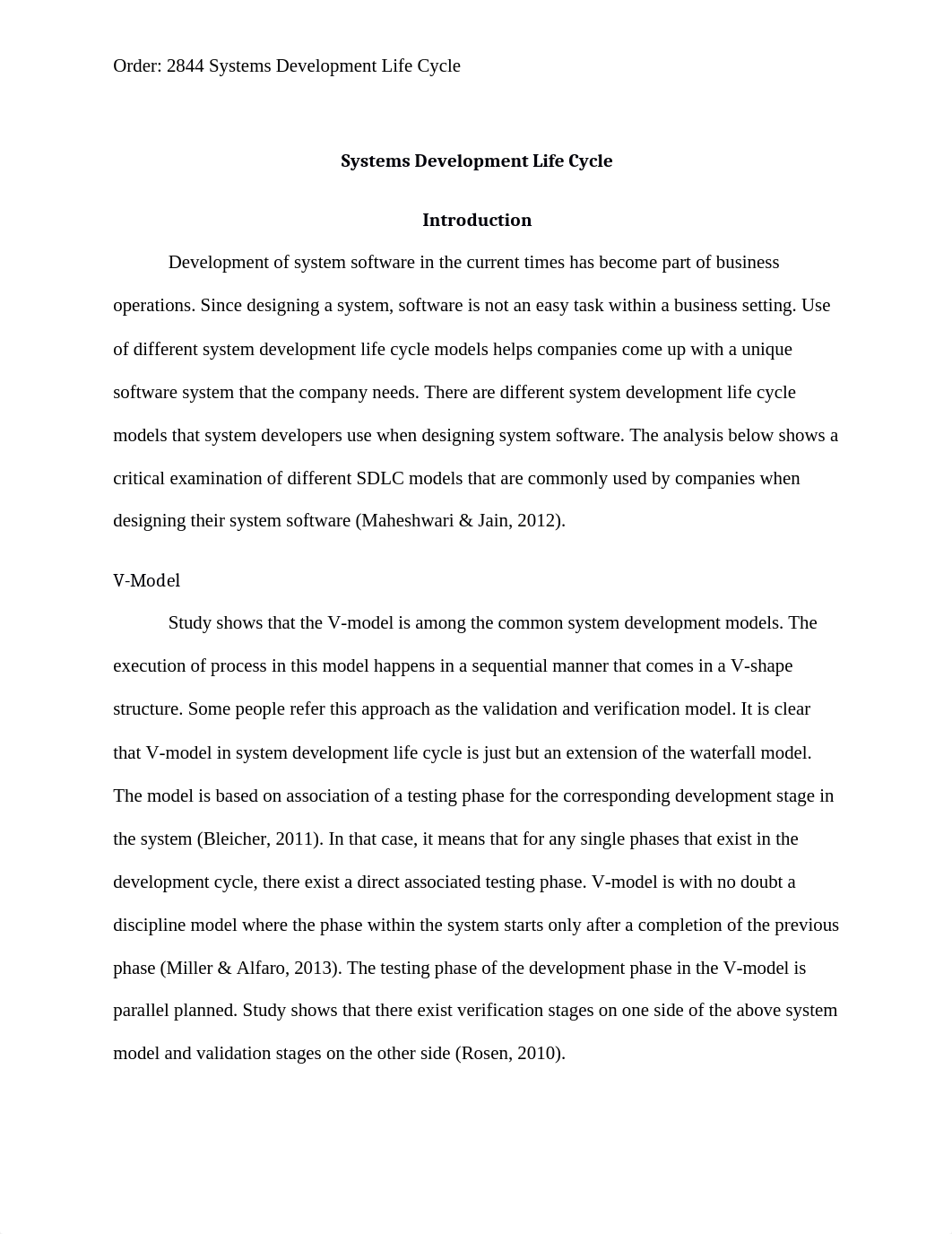 Systems Development Life Cycle_dcws01nuwj4_page4