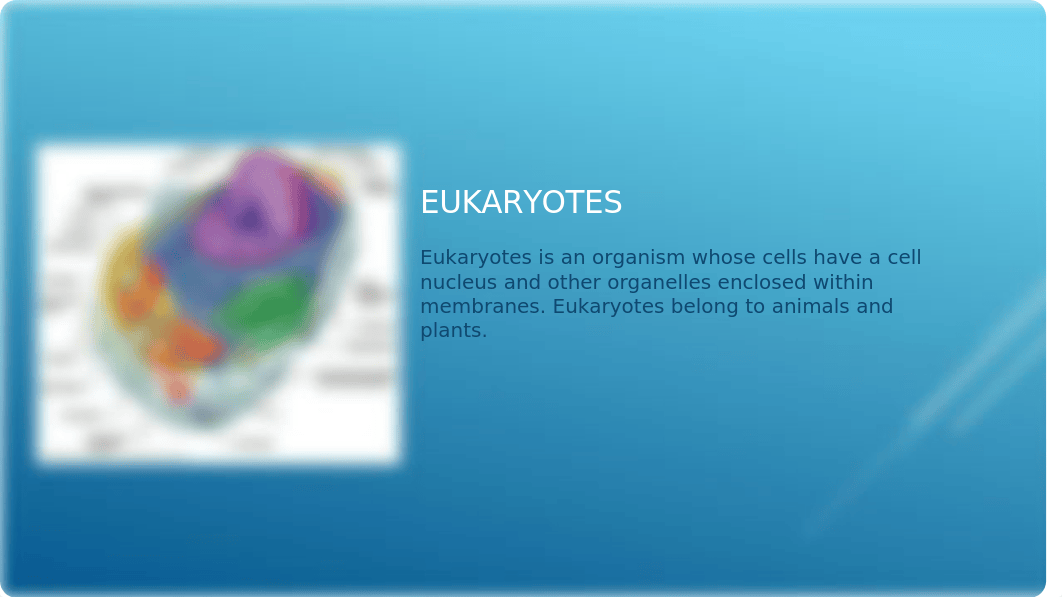 PROKARYOTES AND EUKARYOTES.pptx_dcwsfbuhlce_page3