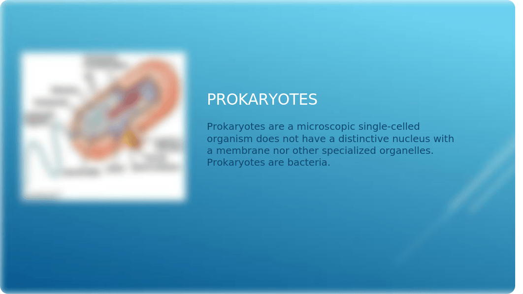 PROKARYOTES AND EUKARYOTES.pptx_dcwsfbuhlce_page2