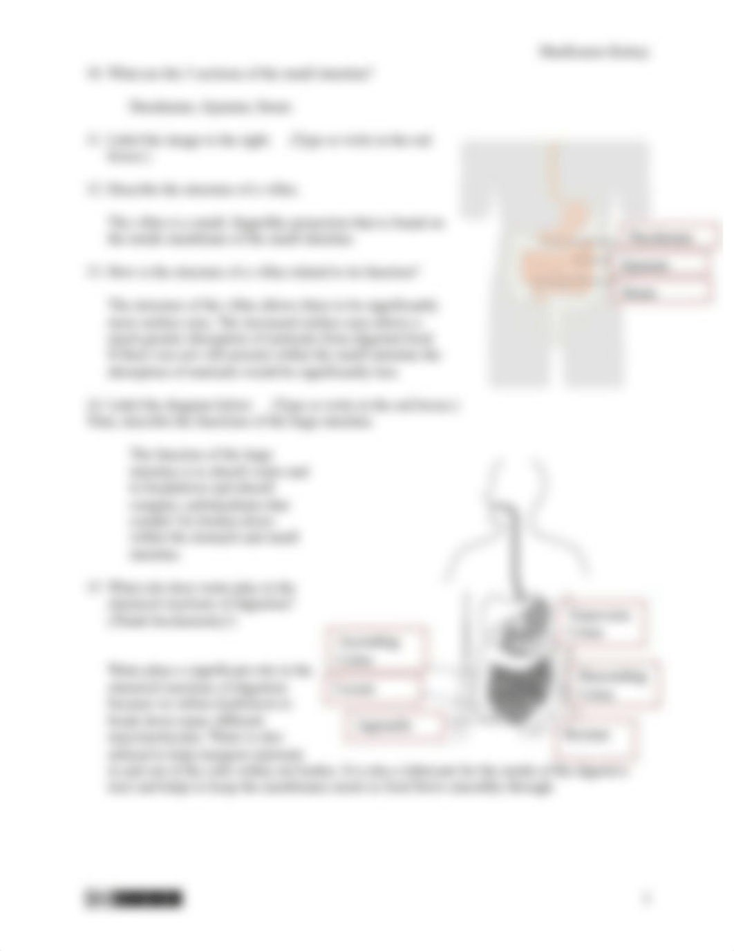 Digestive System Concept Check.pdf_dcwsobolgd1_page3