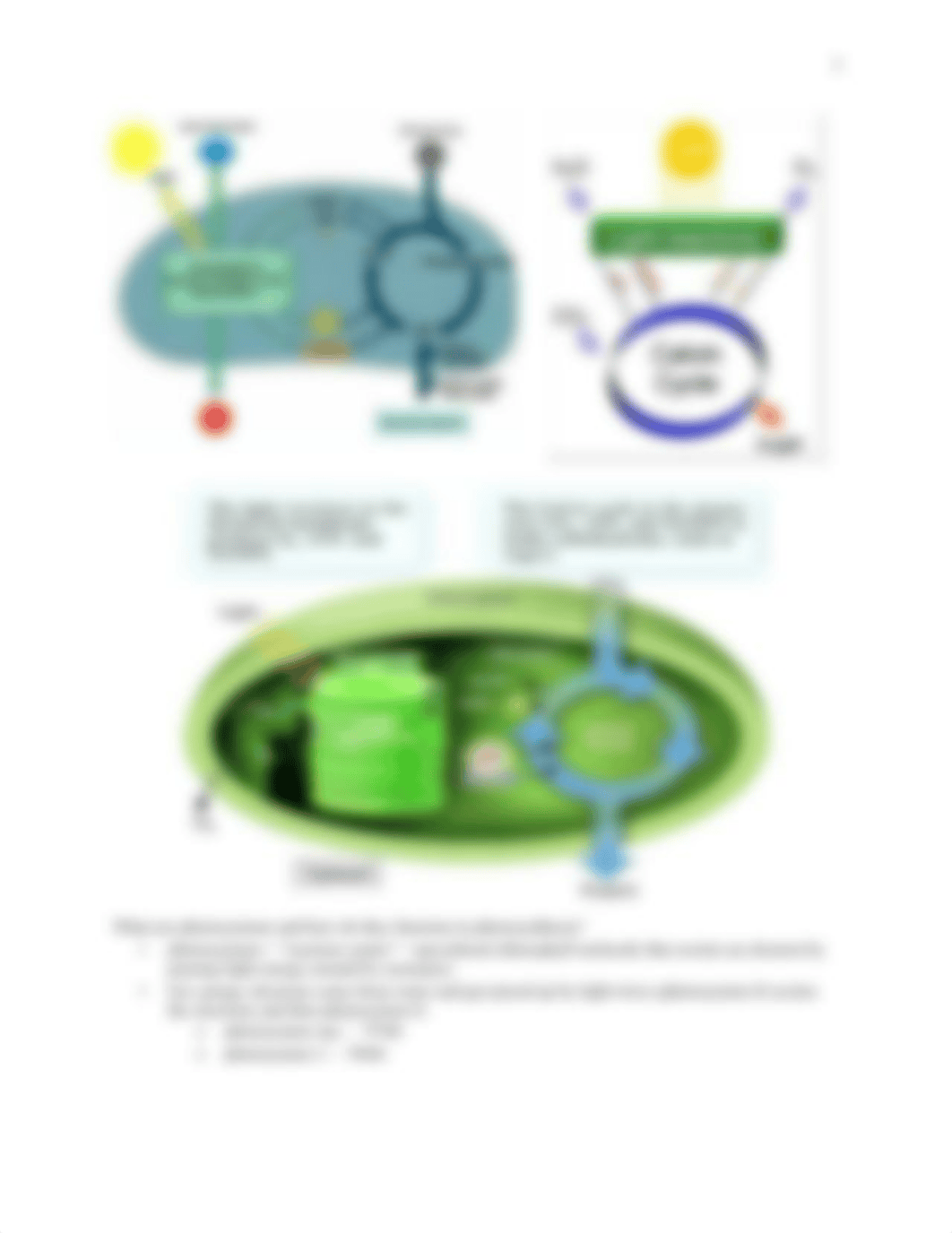 Test 3 Final Study guide_dcwuq48yxde_page3