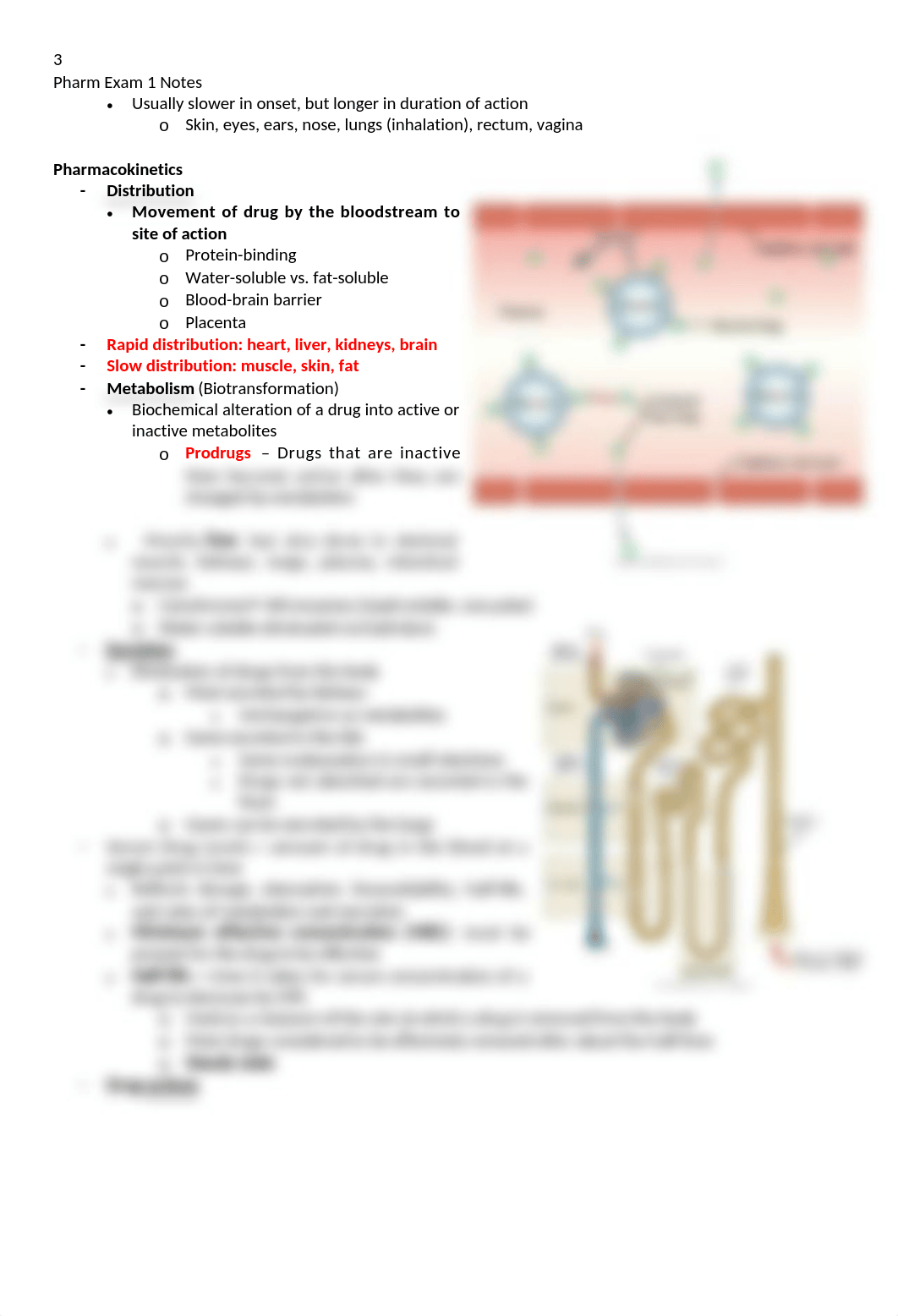 Pharm Exam I Notes.docx_dcwvj28pz7o_page3