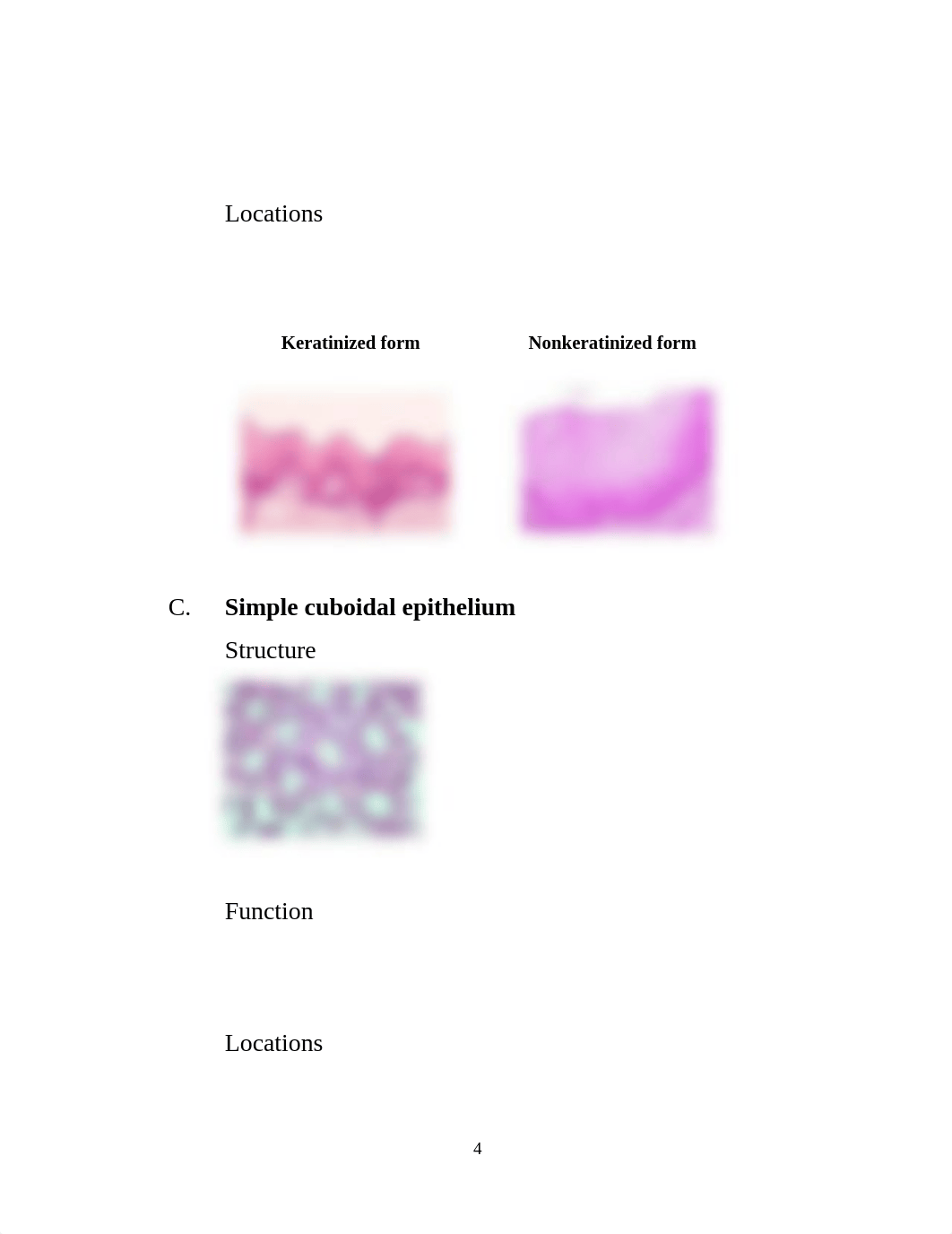 Lecture 7 - Tissues_dcwwd6vrthd_page4