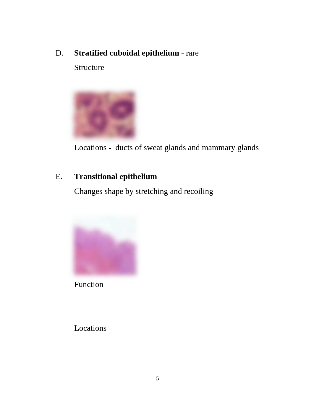 Lecture 7 - Tissues_dcwwd6vrthd_page5