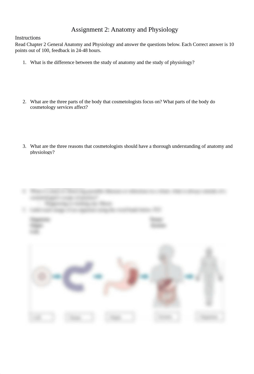 Assignment 2 Anatomy & Physiology.docx_dcwzl0bpk4j_page1