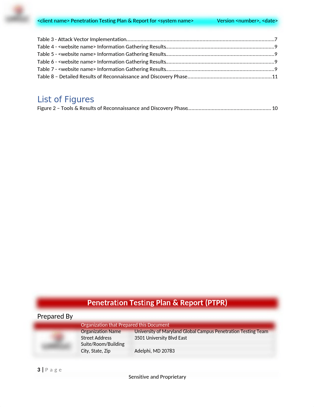 Penetration Testing Report Template (1).docx_dcx4fo3itog_page3