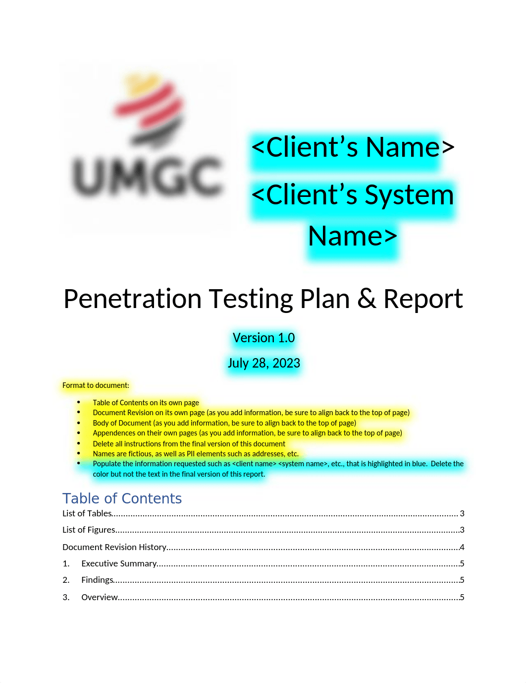 Penetration Testing Report Template (1).docx_dcx4fo3itog_page1