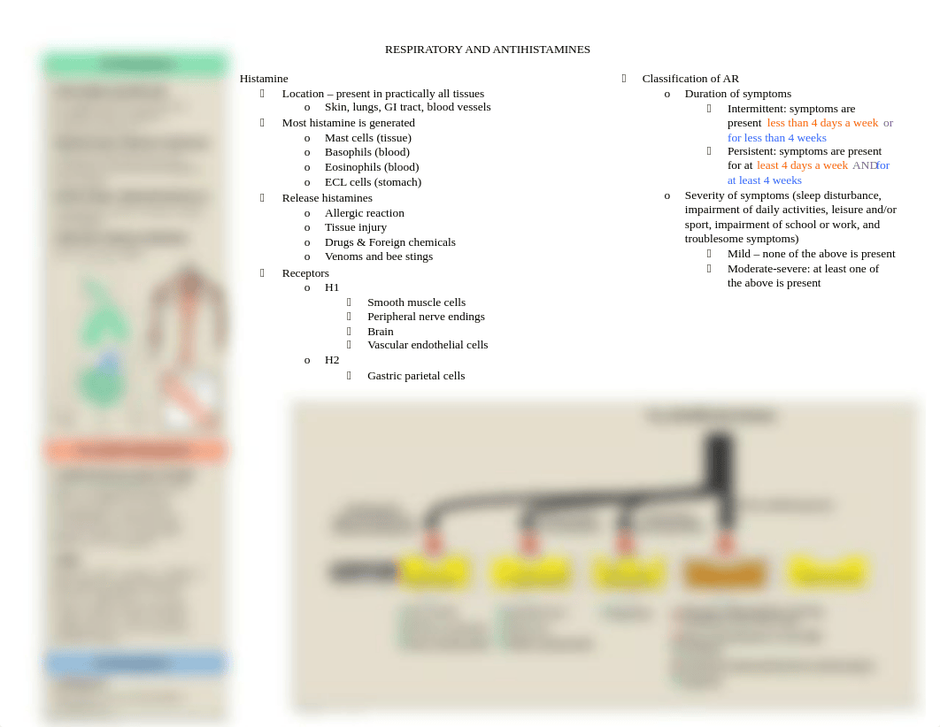 Respiratory and Antihistamine Figures.docx_dcx69nhqdy1_page1