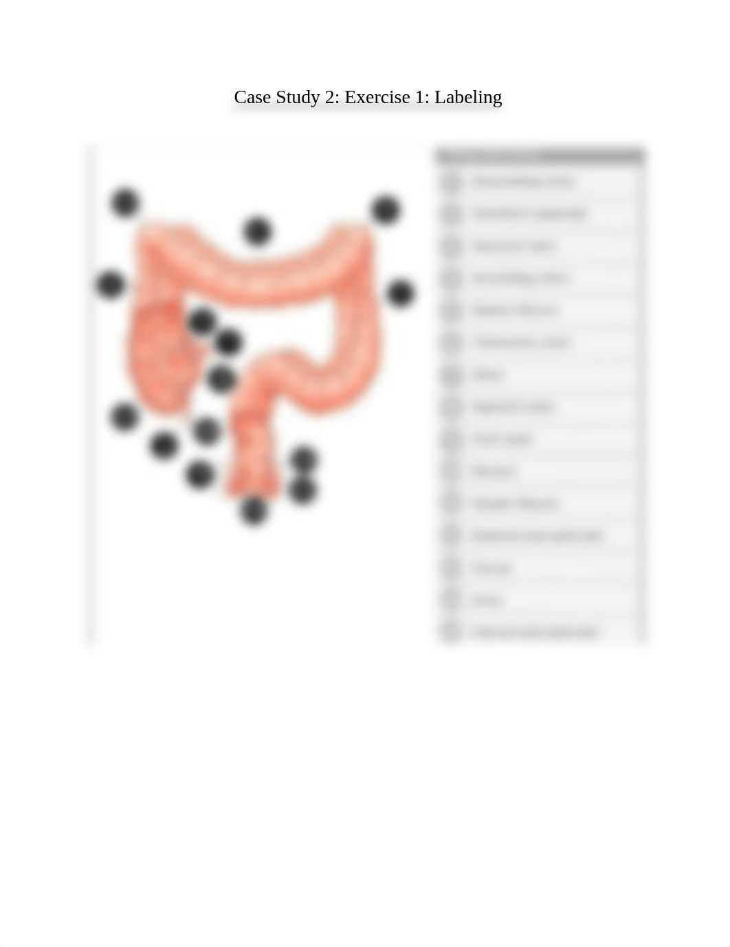 Case Study 2 - Exercise 1 - Labeling.docx_dcxdymanit7_page1