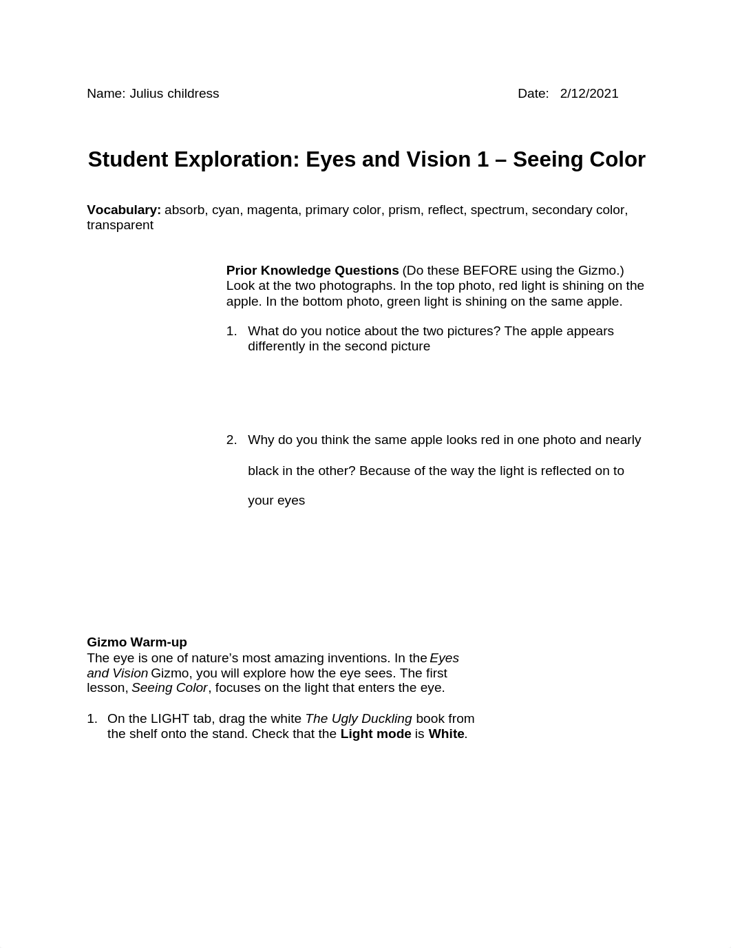 Eyes and Vision 1- Seeing Color.docx_dcxfkzdu3tj_page1