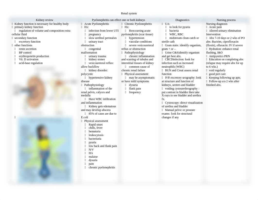 genitourinary.pdf_dcxoeemjsbr_page1