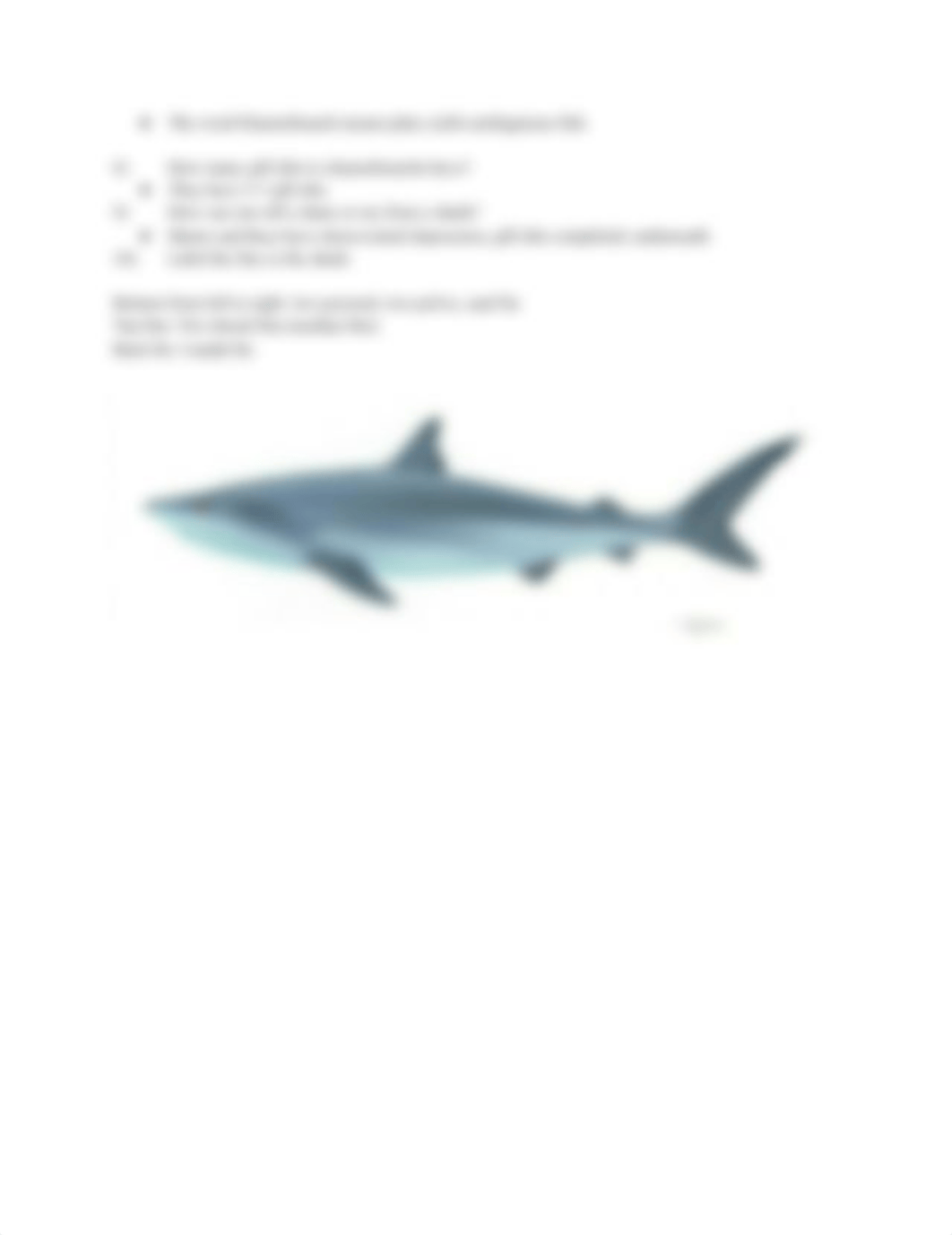 marine_fish_dcxup2ka6yt_page2