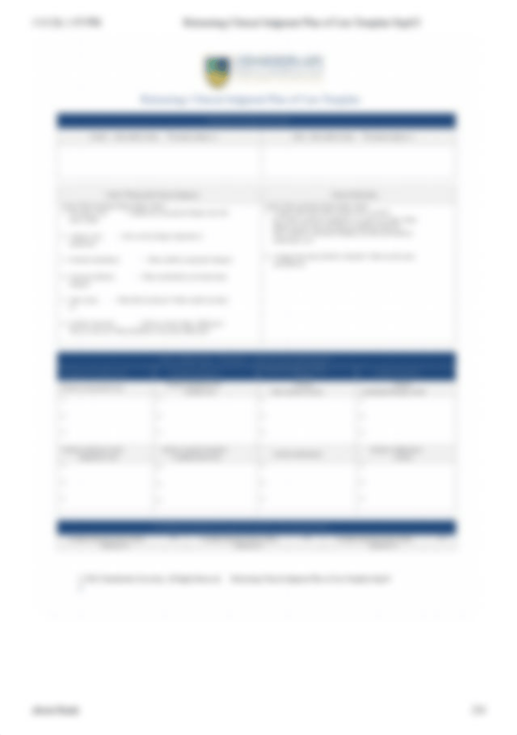 Relearning Clinical Judgment Plan of Care Template Sept23.pdf_dcxutc9nmrz_page2