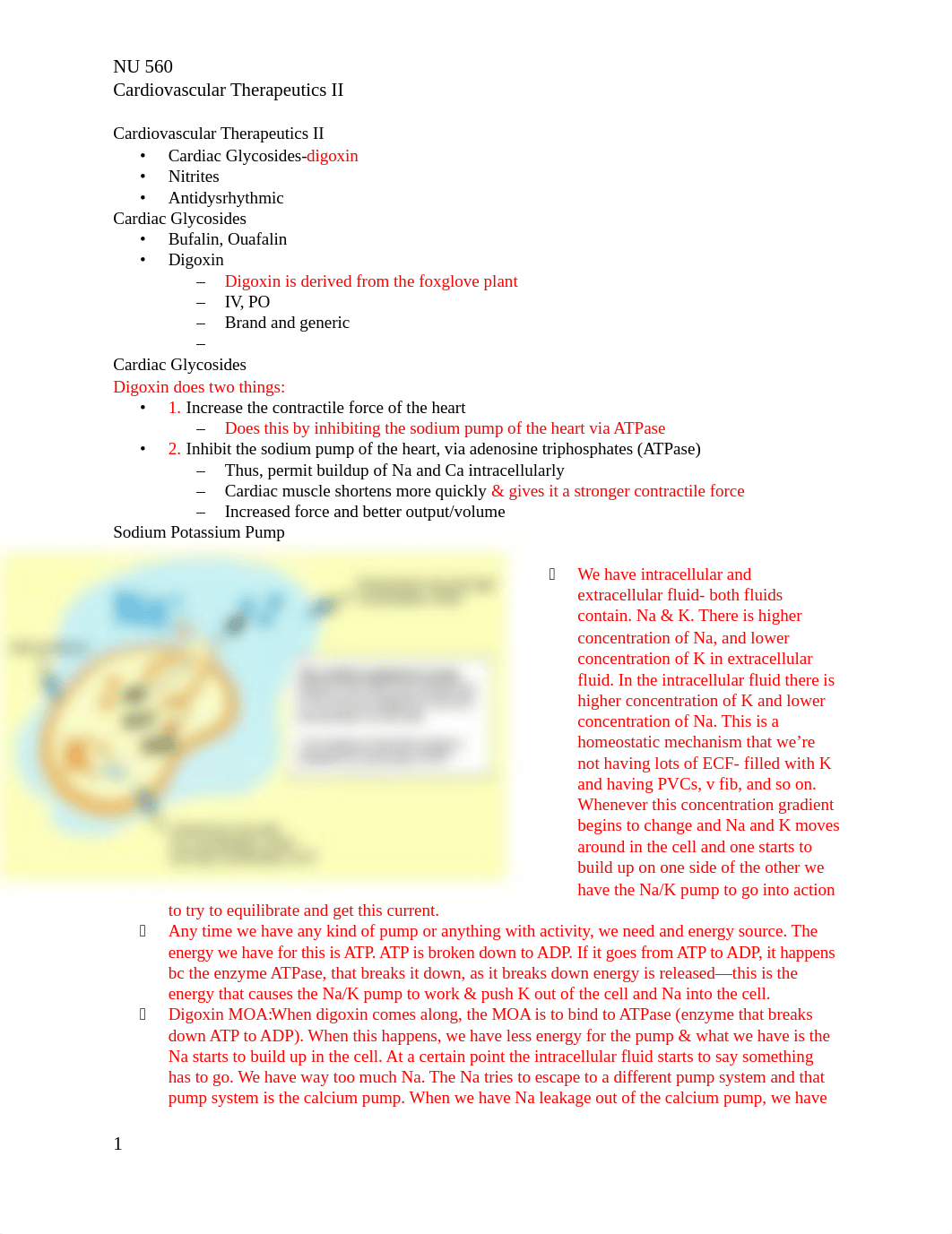 Cardiovascular Therapeutics II.docx_dcxvxymv6lm_page1