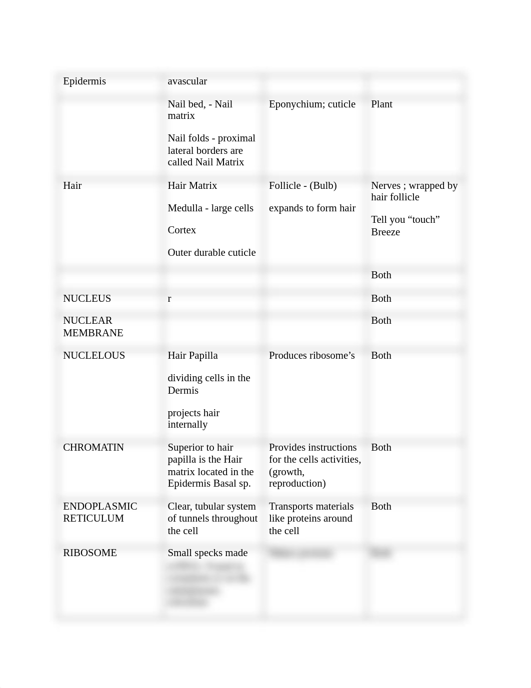 bio 1107 SI cell organelles worksheet answers .docx.doc.docx_dcy3p5bboq1_page1