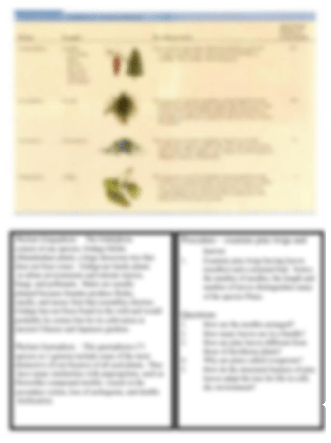 week 5, gymnosperms, angiosperms and flowering plants_dcy6wmgkouo_page3