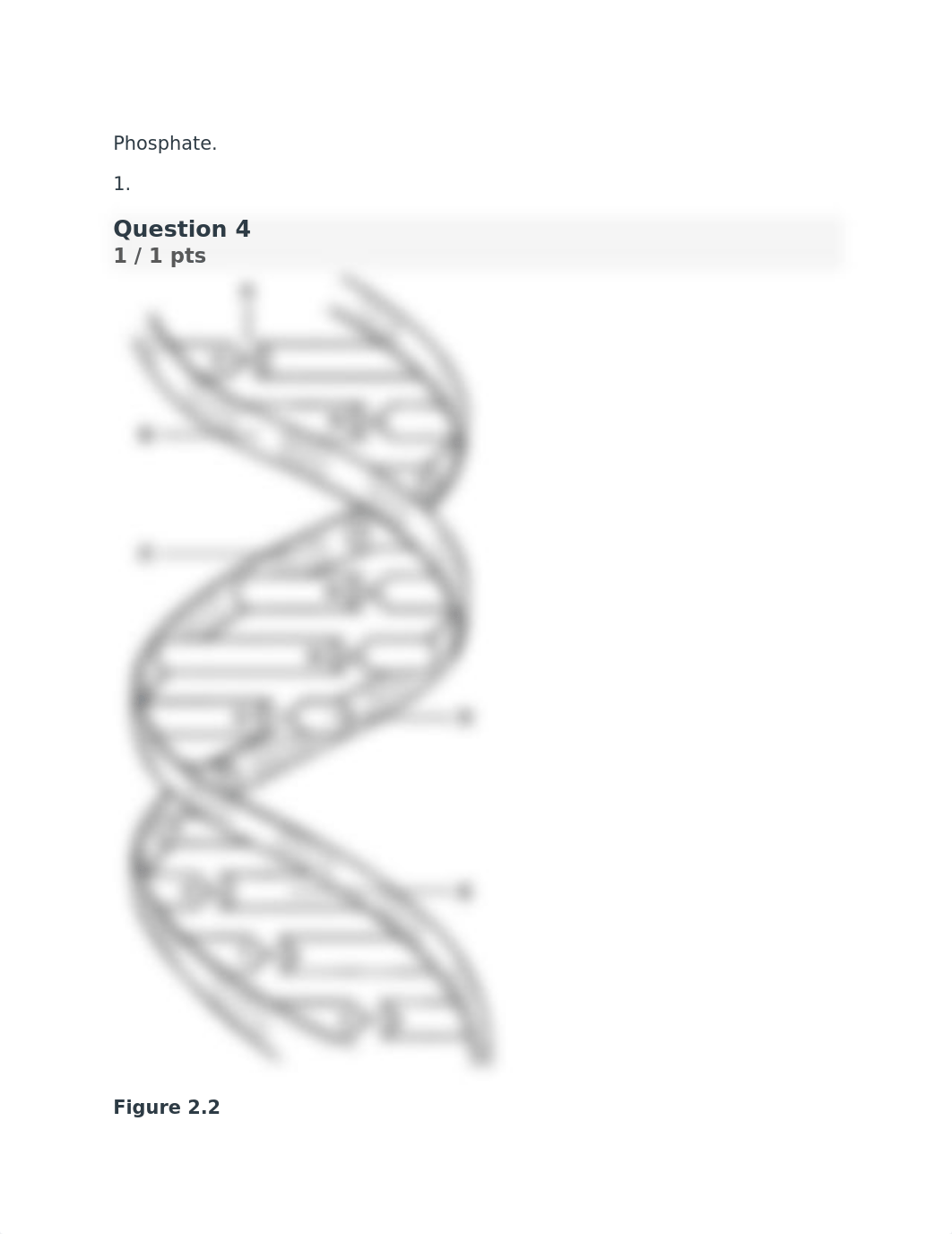 Q2.docx_dcy7mfaltuz_page4