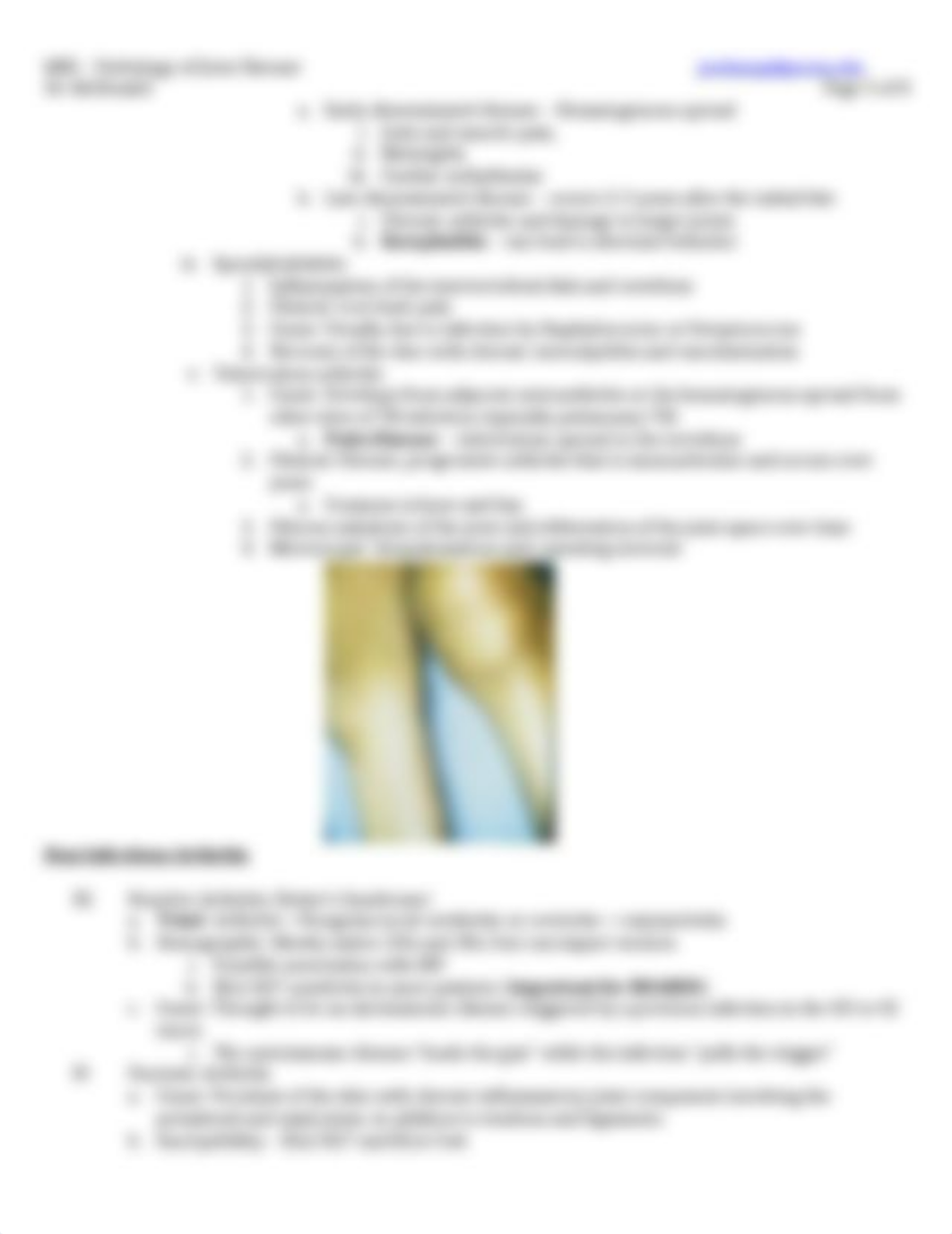 3 Pathology of Joint Disease_dcy9wzvotc1_page3