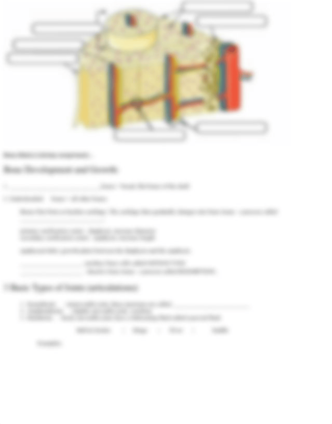 Notes Ch 7 (Skeleton).pdf_dcyfiz8amhz_page2