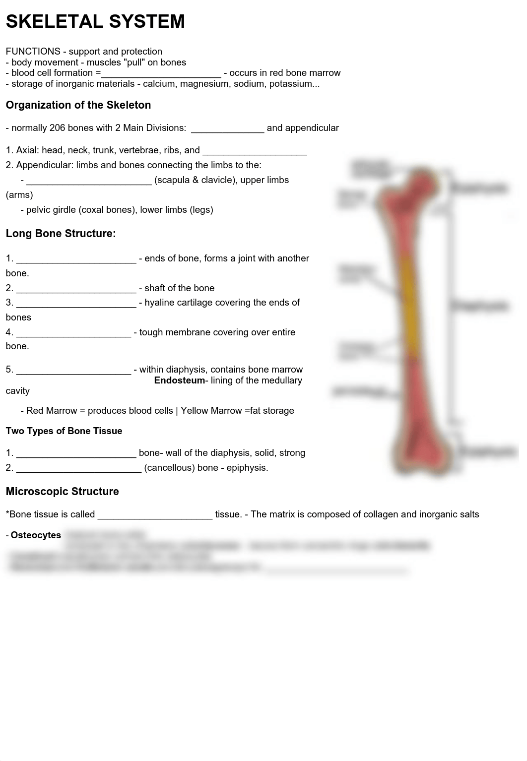 Notes Ch 7 (Skeleton).pdf_dcyfiz8amhz_page1