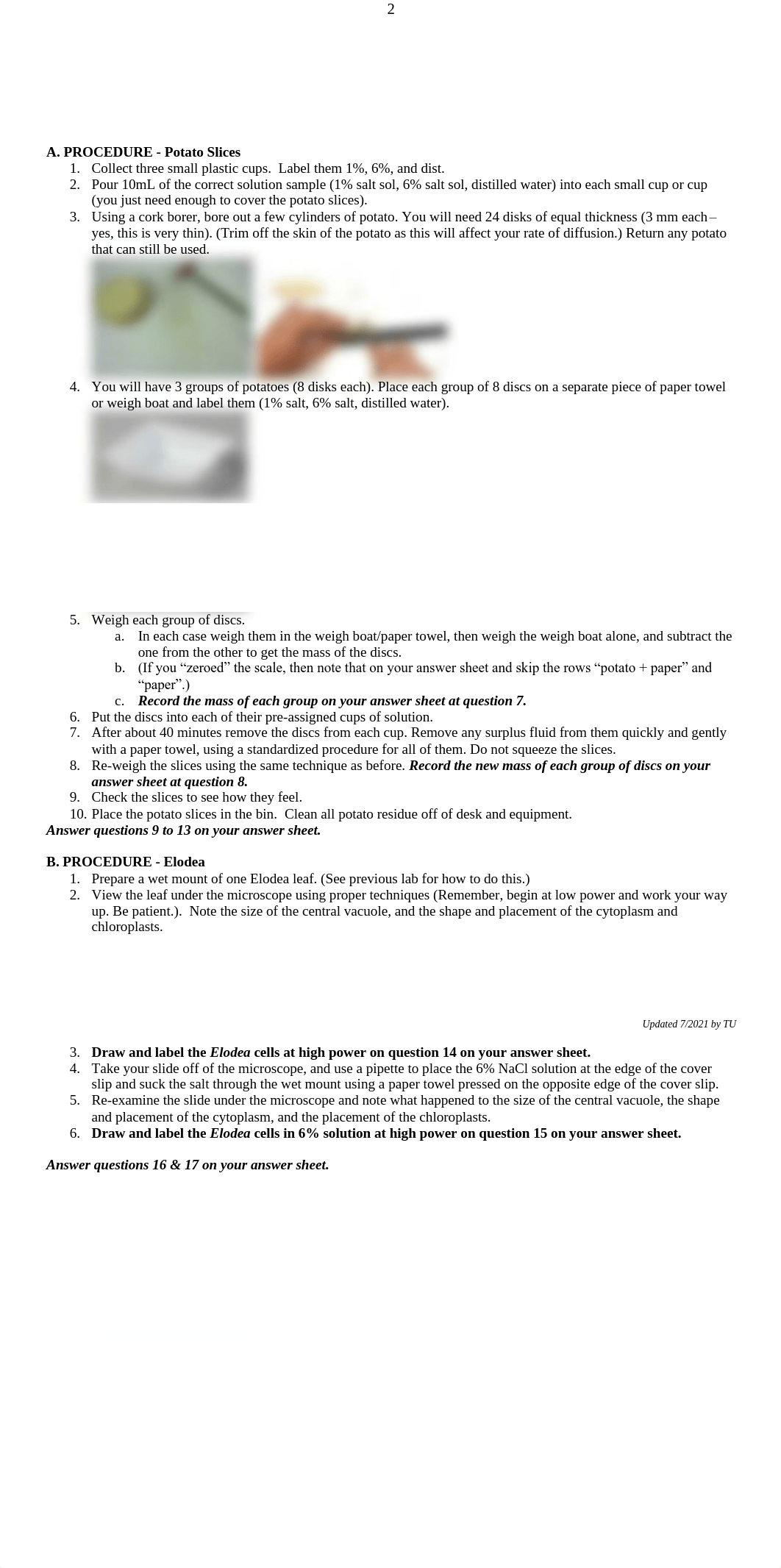 Diffusion and Osmosis Lab.pdf_dcyiifa5oxs_page2