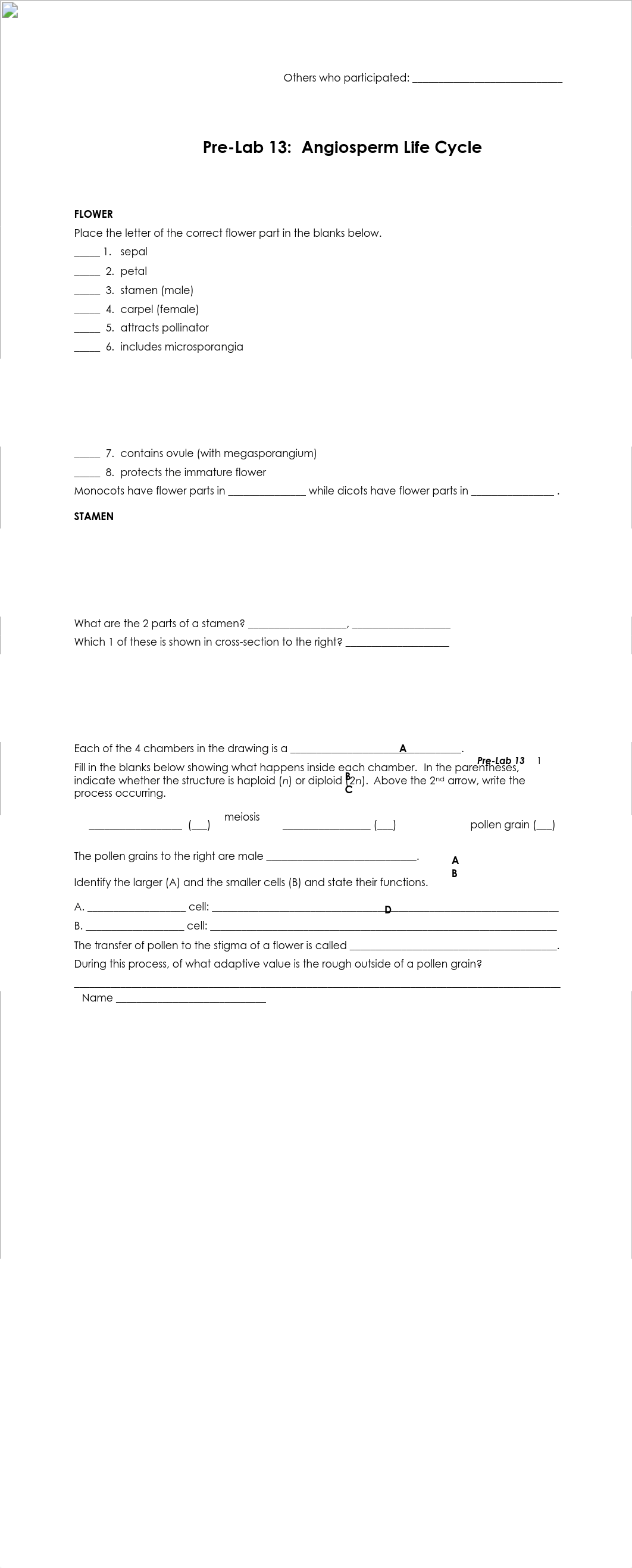 13a Prelab 13_Angiosperm Life Cycle.pdf_dcyiypgq7m4_page1