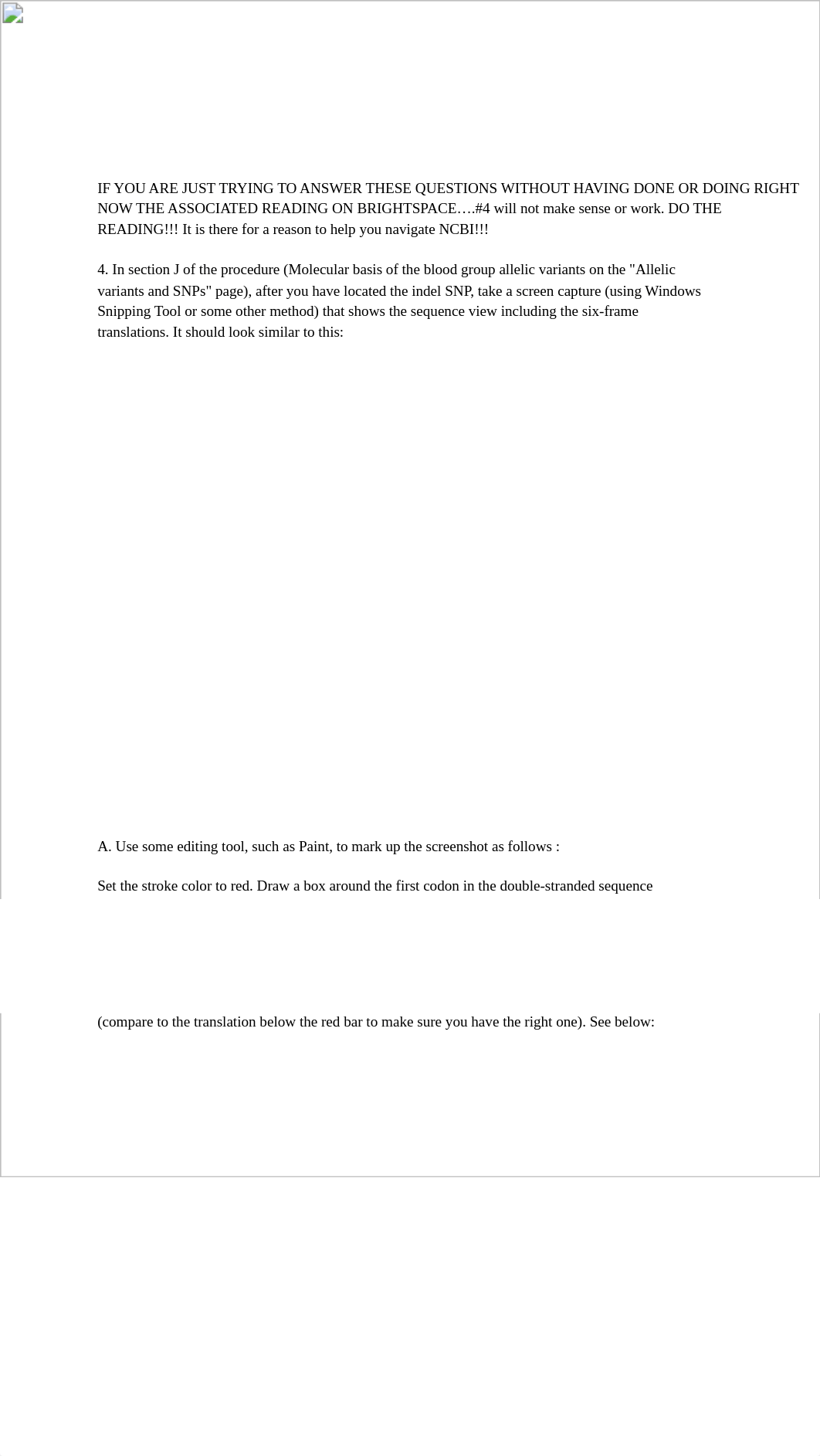 homework_8_bio 1510 lab.pdf_dcyqi0hf3dy_page3